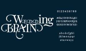 WEDDING BRAIN in decorative characters display on dark background