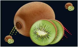 Kiwi fruit decorate with slices on dark black background