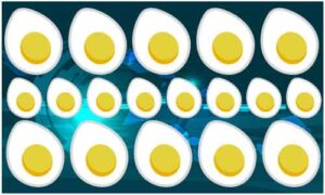 Half cut boiled egg in different size display in horizontal row